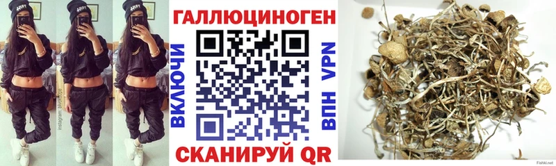как найти   Болохово  Псилоцибиновые грибы прущие грибы 