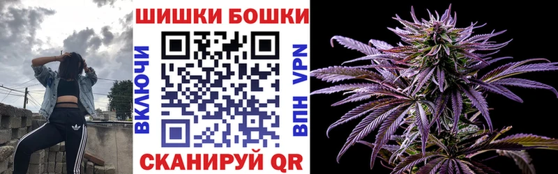 Канабис семена  Болохово 